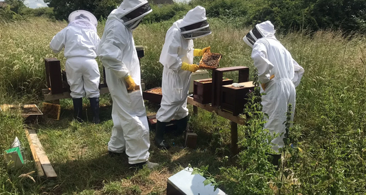 Introduction to Beekeeping in the Lincolnshire Wolds