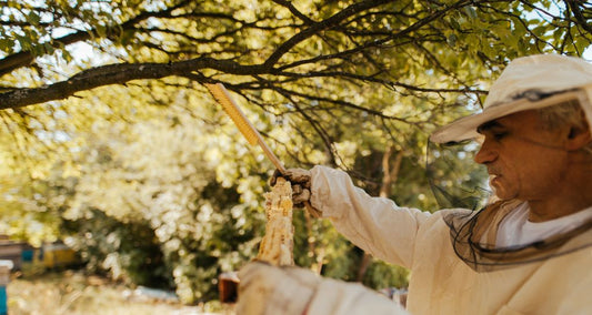 Beginners Beekeeping Course Lincolnshire Wolds